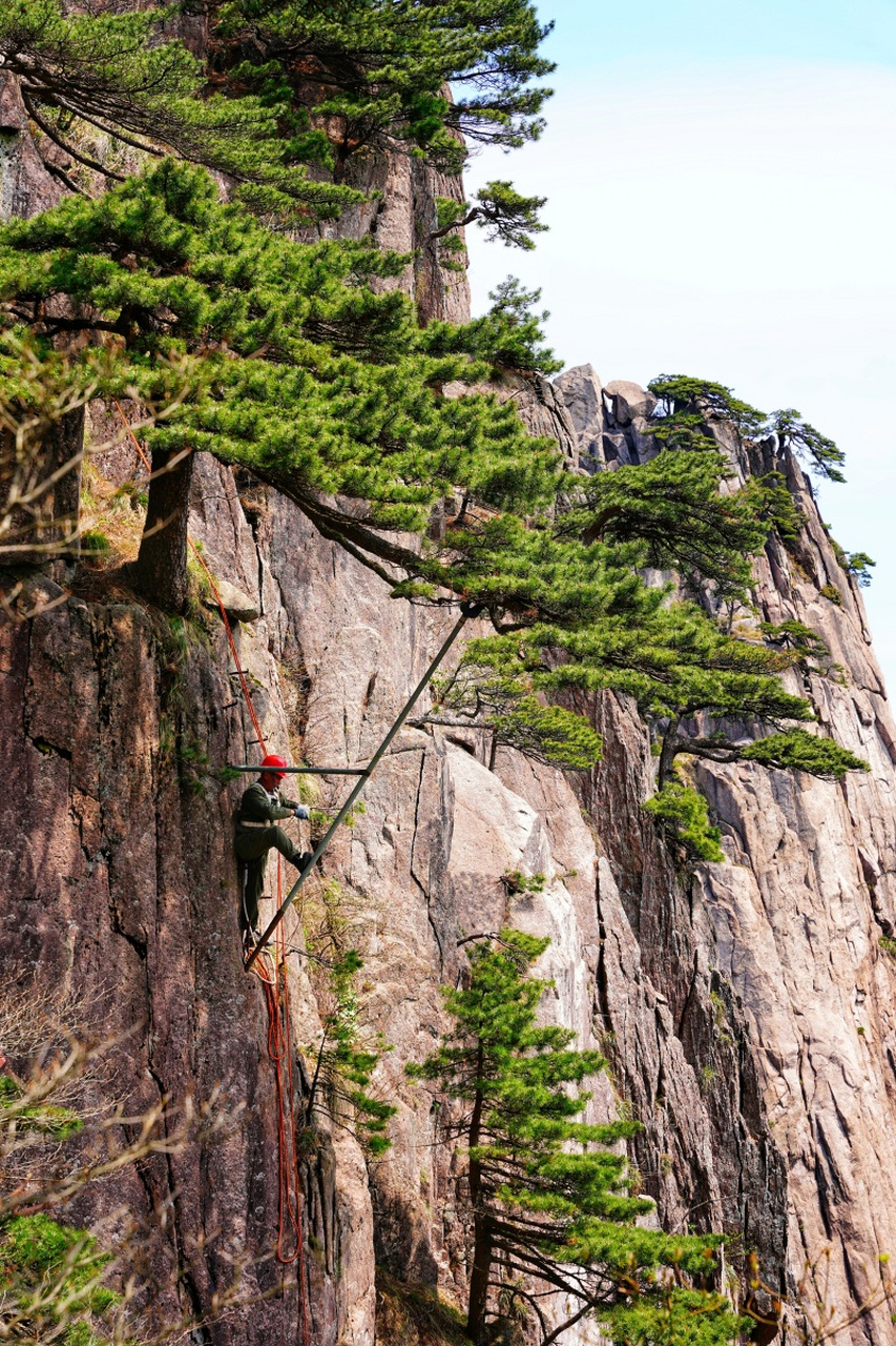 汤口镇到黄山风景区图片