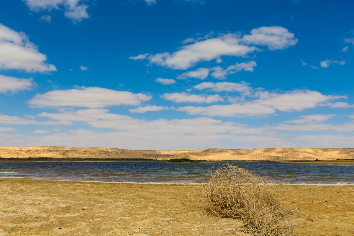 奇特的巴西千湖沙漠:沙漠荒芜与湖泊游鱼的结合