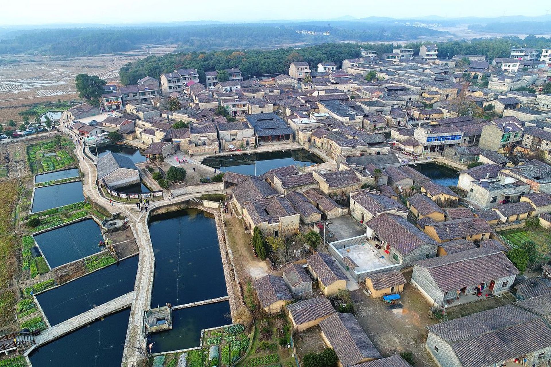 赏秋进行时# 西双塘村:天津市西双塘村位于天津市静海区双塘镇,毗邻