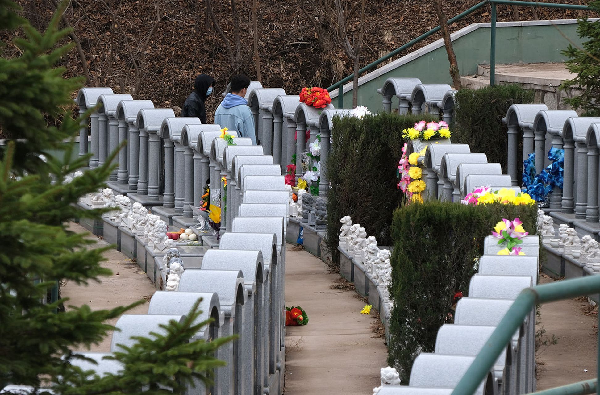 青岛崂山风景区非法扩建墓地事件曝光,太平陵公墓未经审批毁林挖山建