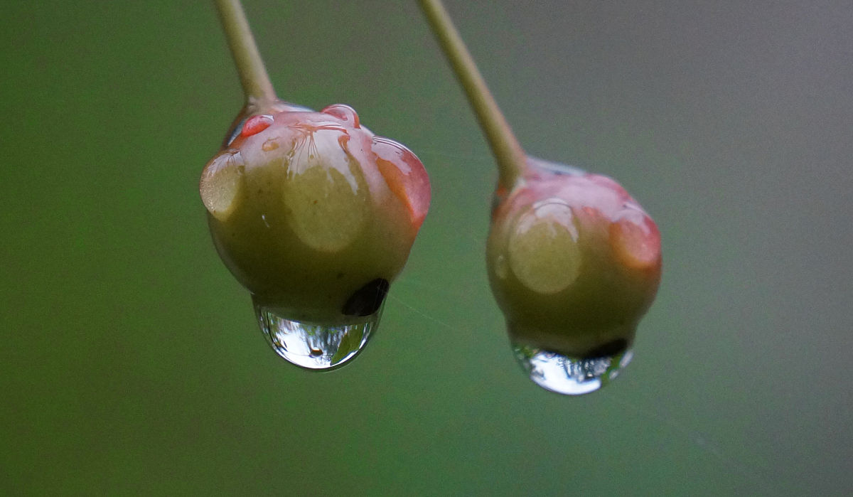 微小力量的奇迹:水滴石穿