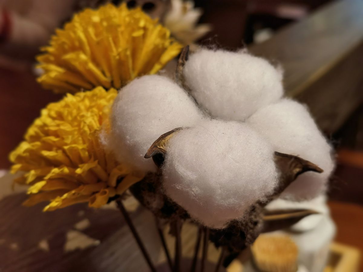 棉婚:结婚两周年,温暖如初,绵长如诗