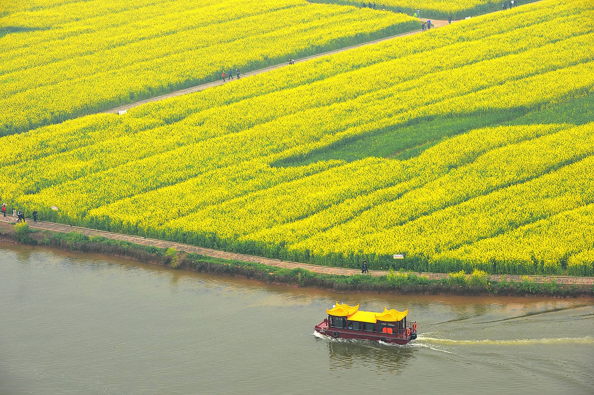 潼南油菜花景区,位于重庆市潼南县崇龛镇,每年春季都吸引着众多游客前