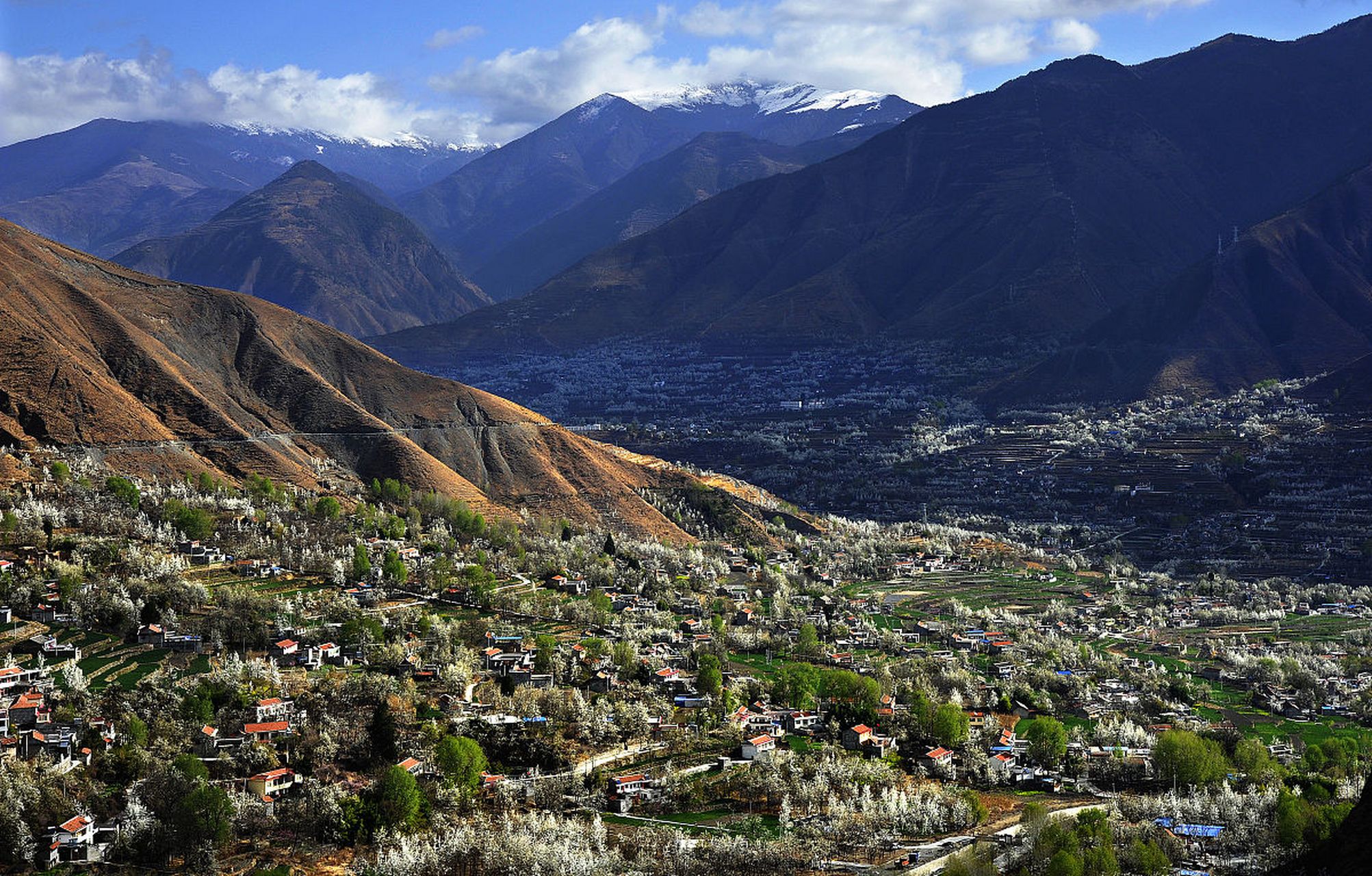 国内文旅# 金川县大金川河谷·一个被梨花包围的仙境! 67[爱你]