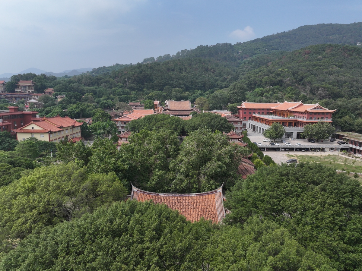 一踏入灵源山,你就会被这里的山势所吸引.