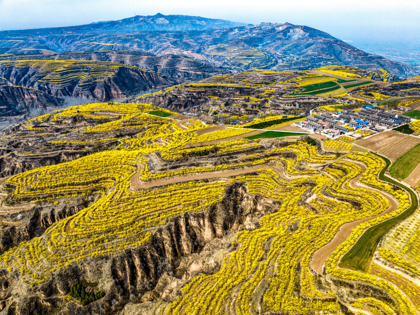 山西绛县沸泉图片