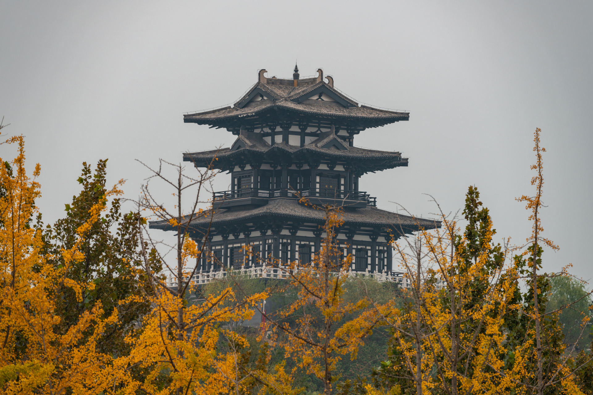 龙山阁深秋的诗意体验  我走进河北唐山南湖旅游景区的龙山阁,那是一